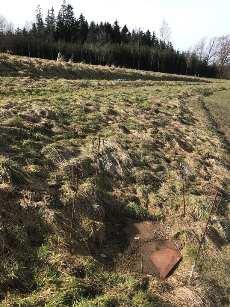 Quelle große Laber vorher Quelle große Laber vorher